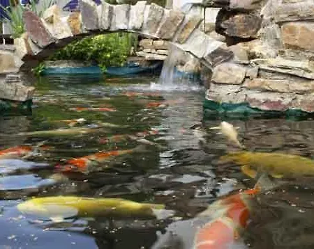 Szálloda Gartenhotel Hunsrucker Fass Kempfeld